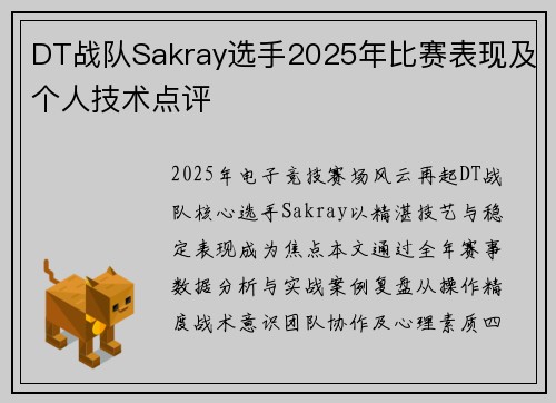 DT战队Sakray选手2025年比赛表现及个人技术点评